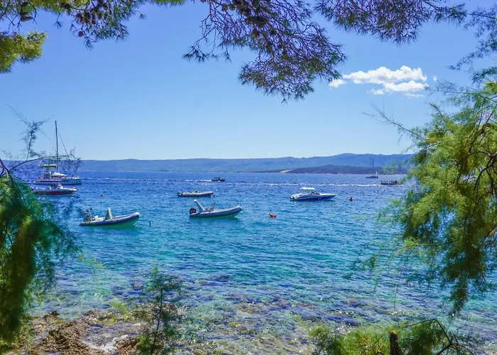 Sunny Lux 1 In By Guide Makarska